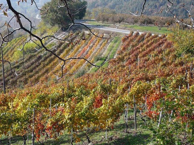 Cascina Sant'Eufemia Villa Sinio Ngoại thất bức ảnh